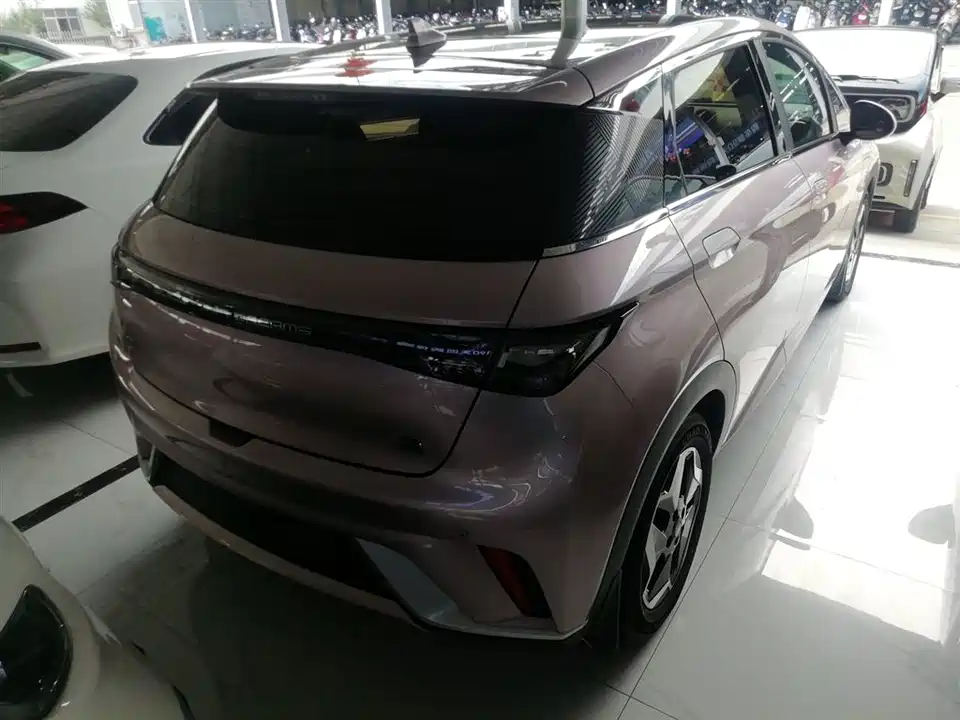 BYD dolphin