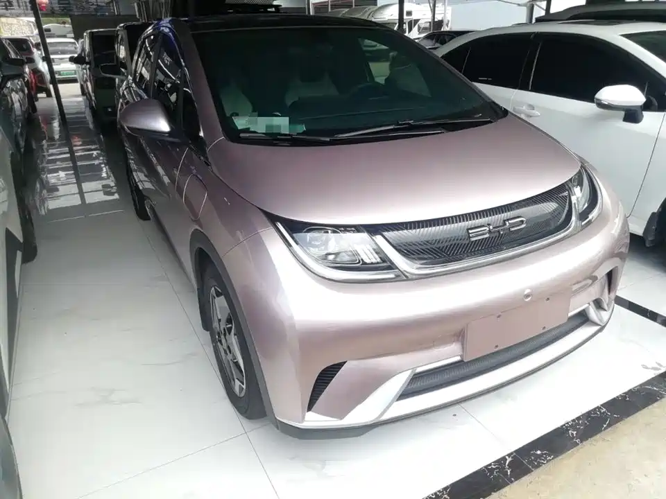 BYD dolphin