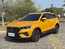 ����T77 2019�� 230 TID �Զ������� ��V