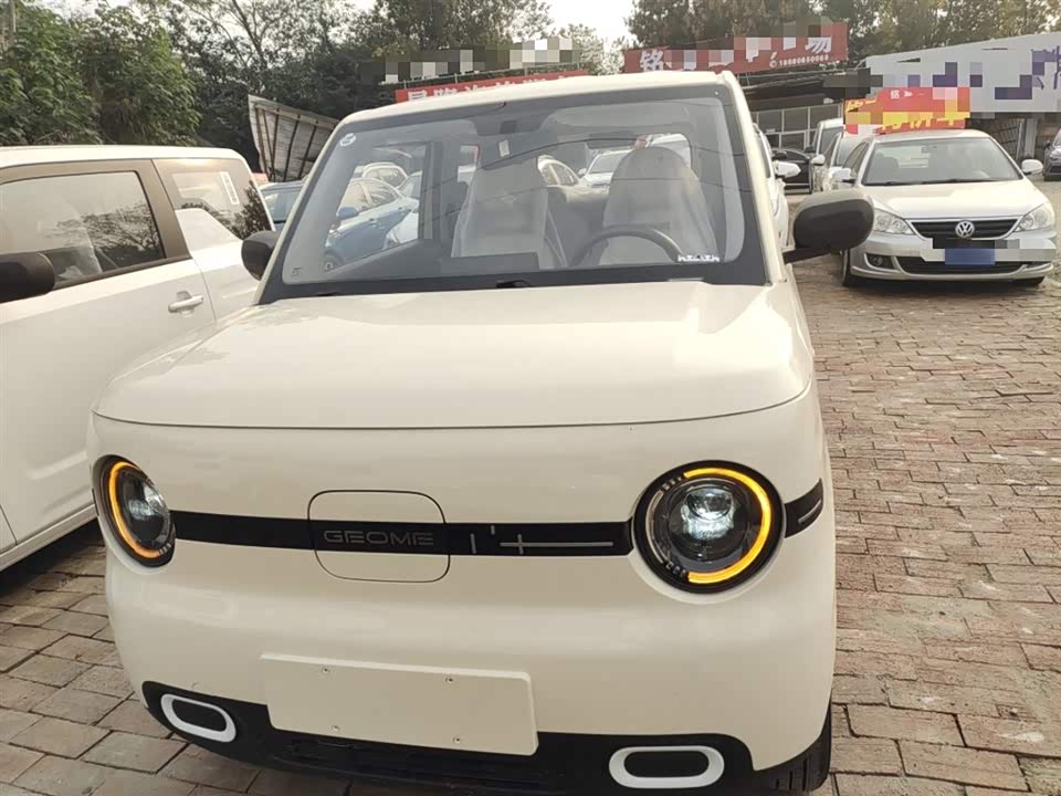 Geely Galaxy panda