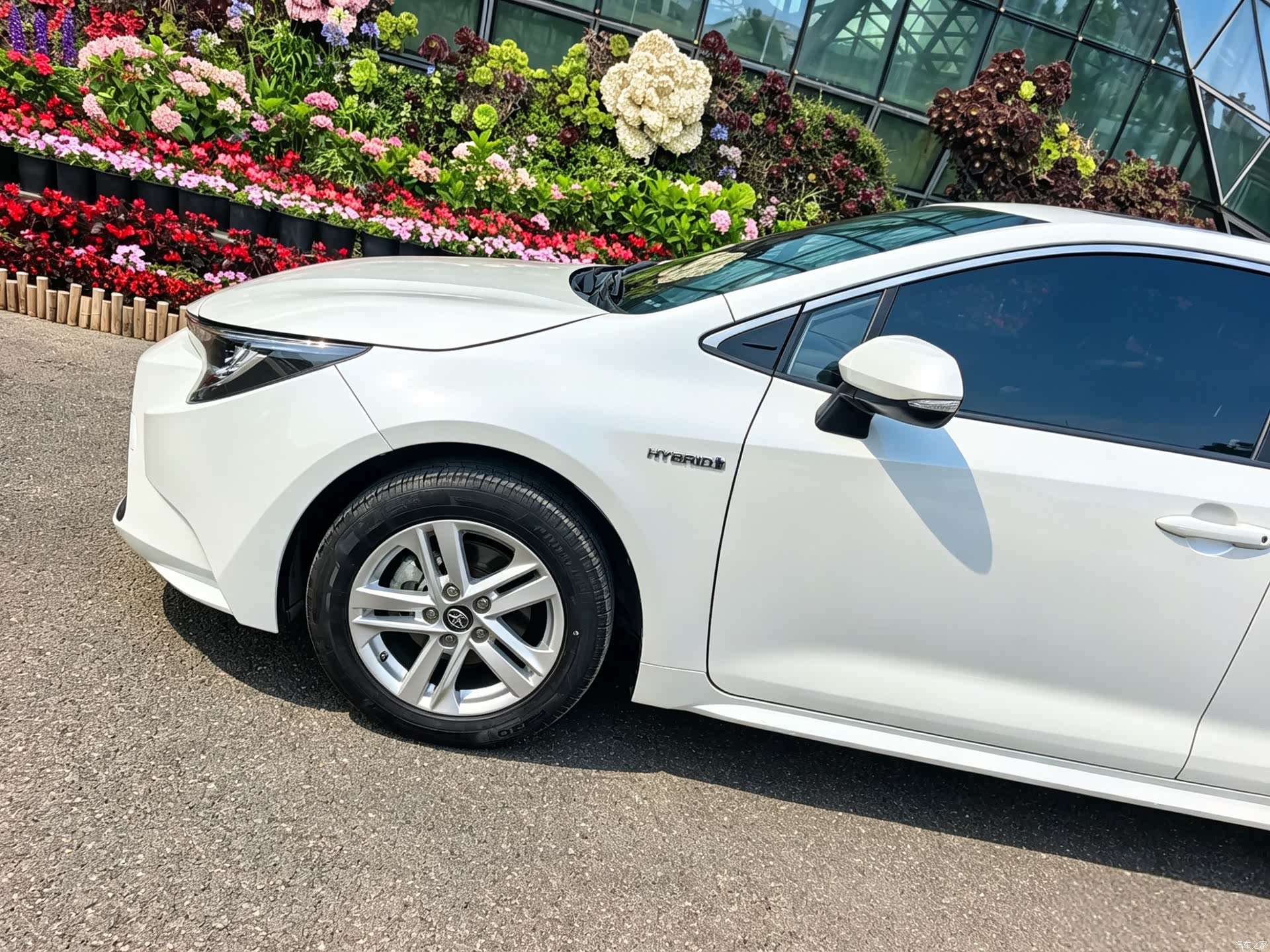 Toyota Levin, 2022 15