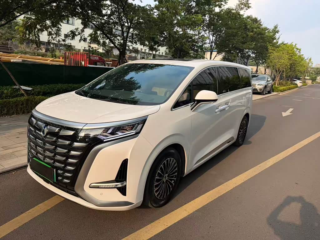 Denza D9