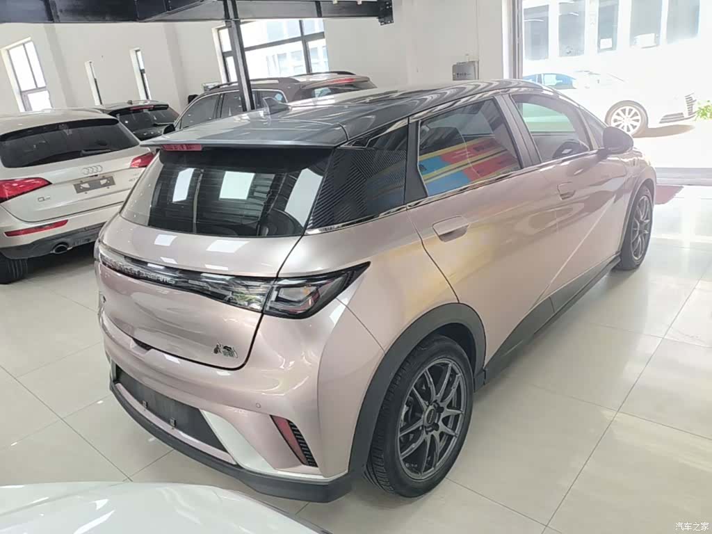BYD Dolphin, 2022 7
