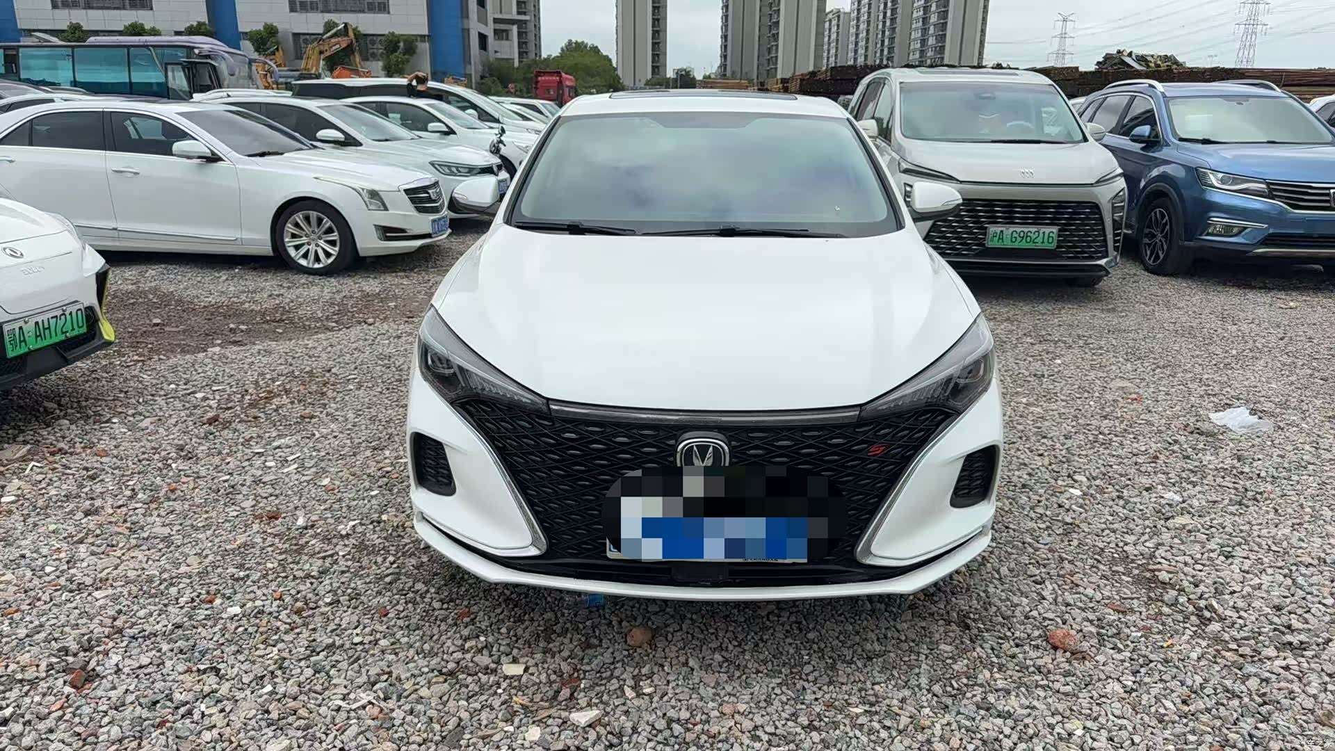 Changan Eado, 2020 1