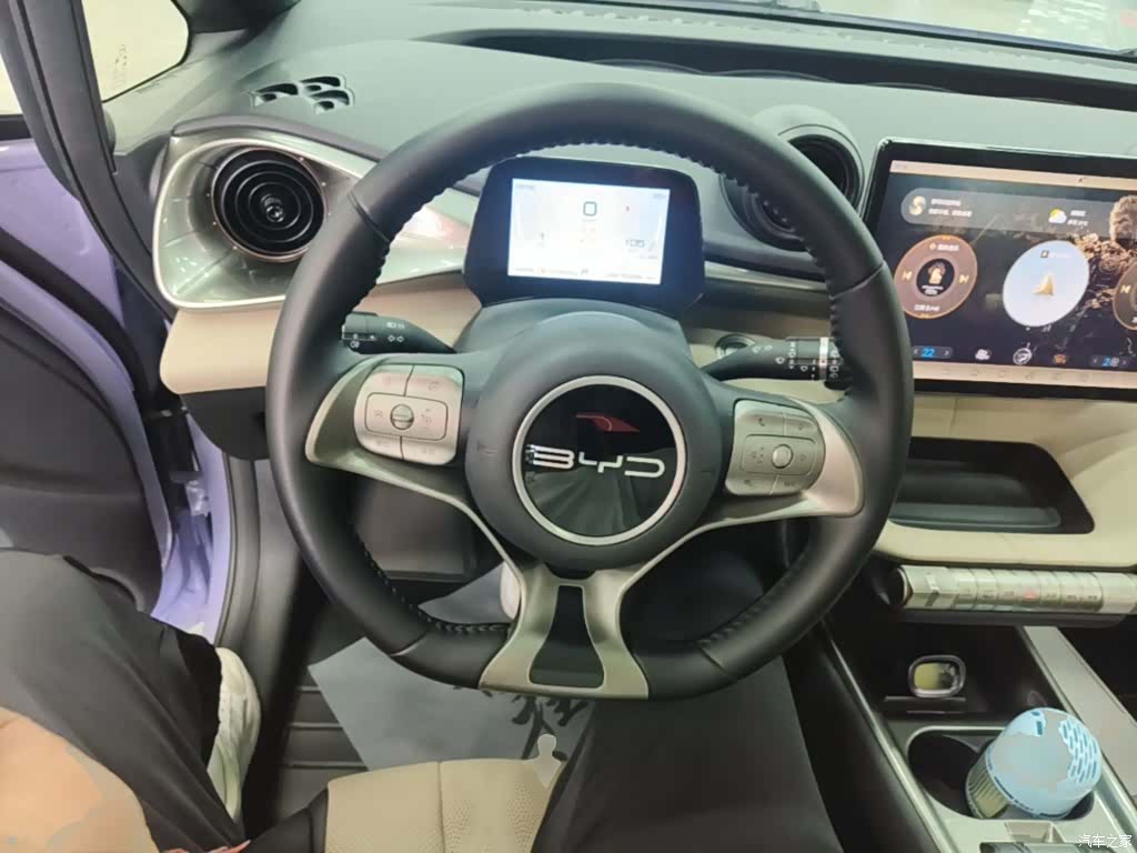 BYD Dolphin, 2024 11