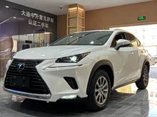 �׿���˹NX 2020�� 300h ǰ�� ���а� ��V