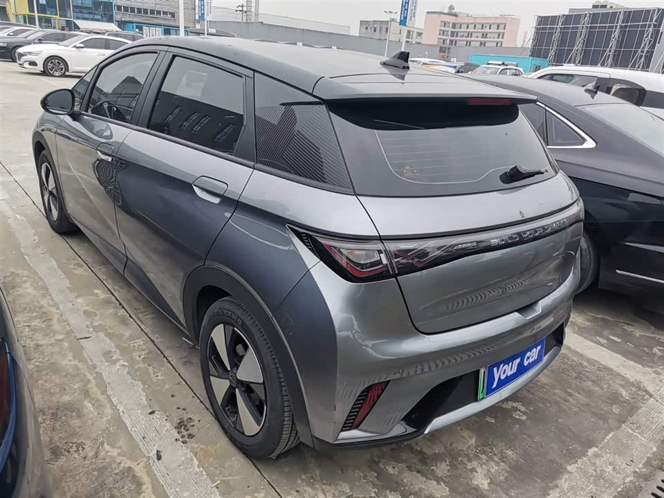 BYD dolphin