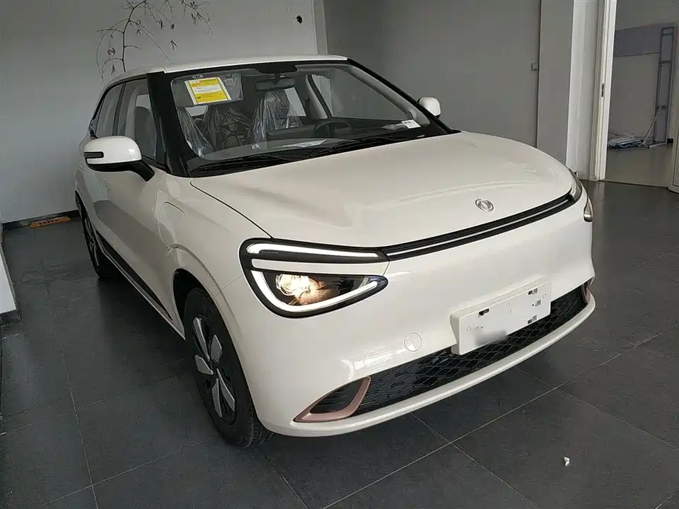 Dongfeng Nammi Nano 01