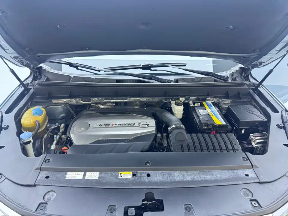 Trumpchi Trumpchi GS8