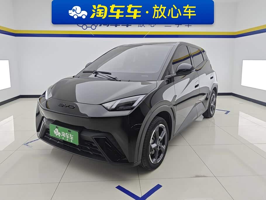 BYD Seagull