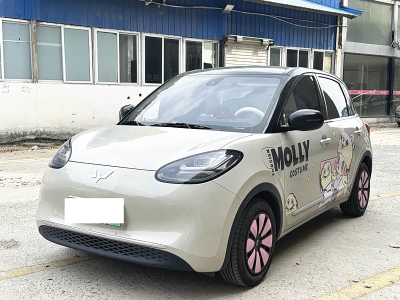 Wuling Binguo