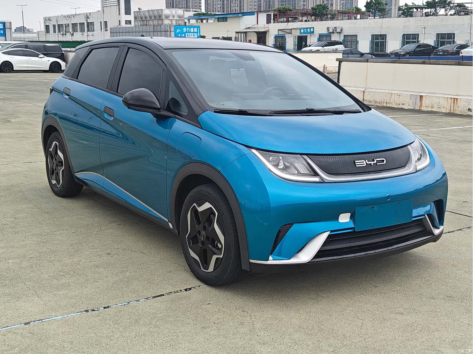 BYD Dolphin, 2022 3