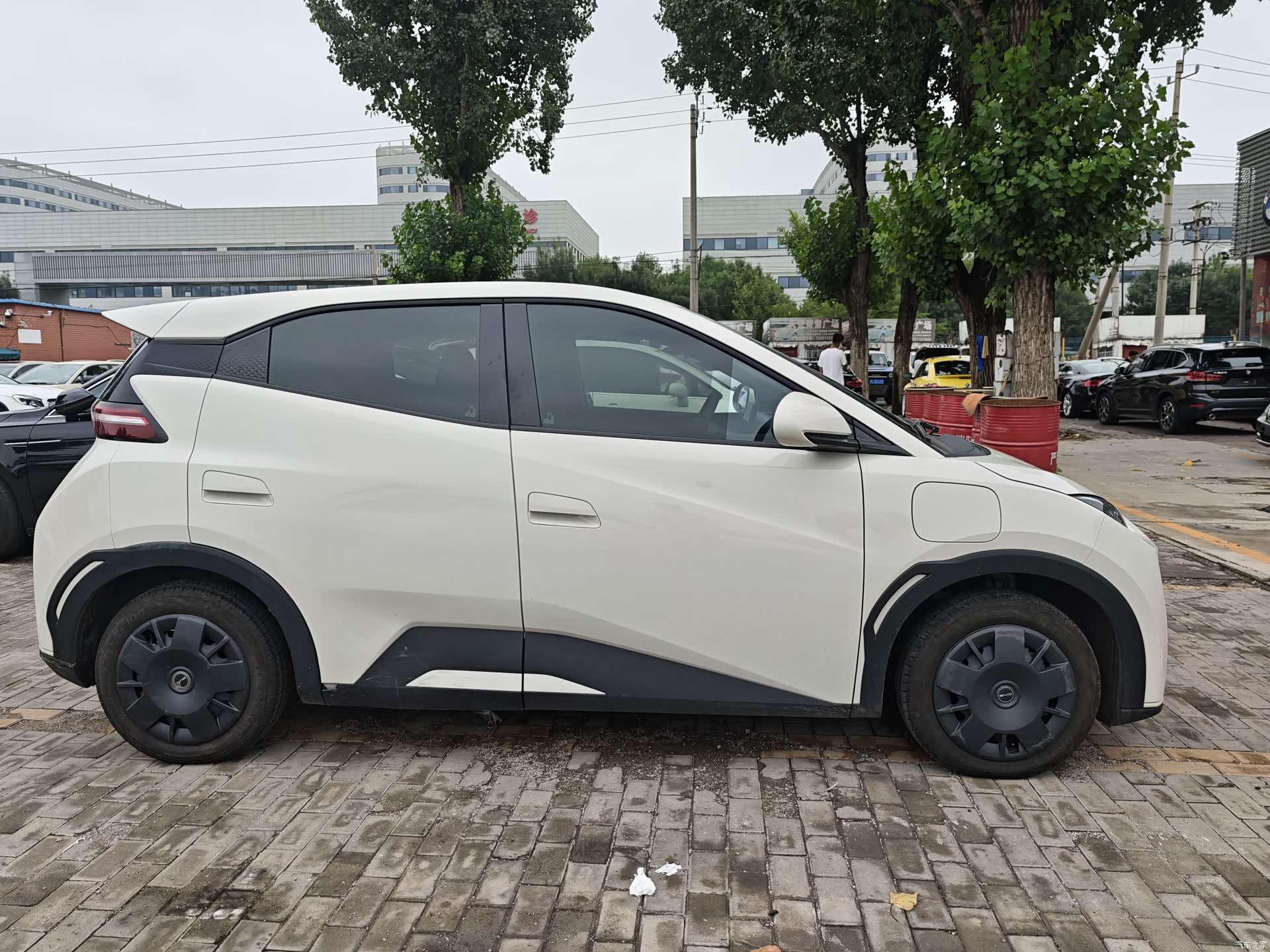 BYD Seagull, 2024 10