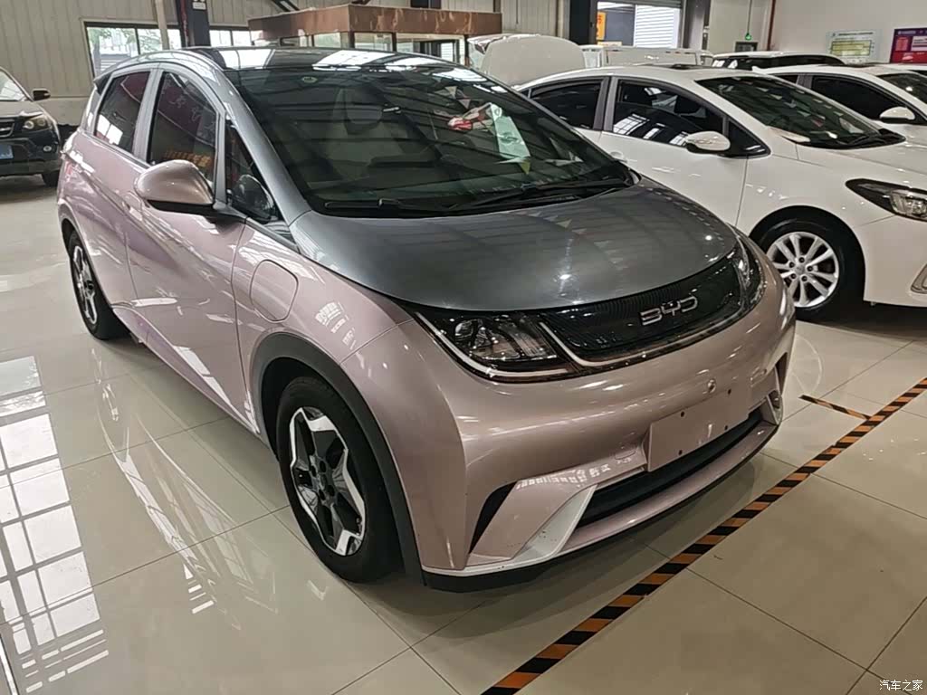 BYD Dolphin, 2022 4