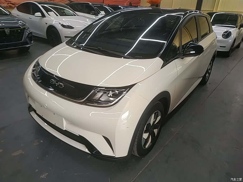 BYD Dolphin, 2025 2