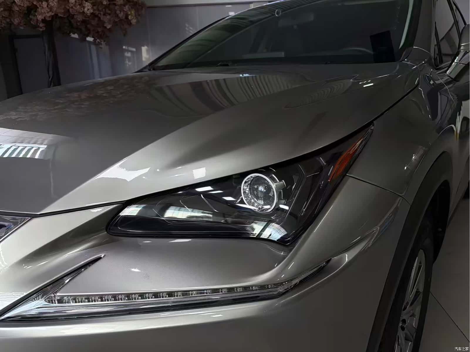 Lexus NX, 2021 15