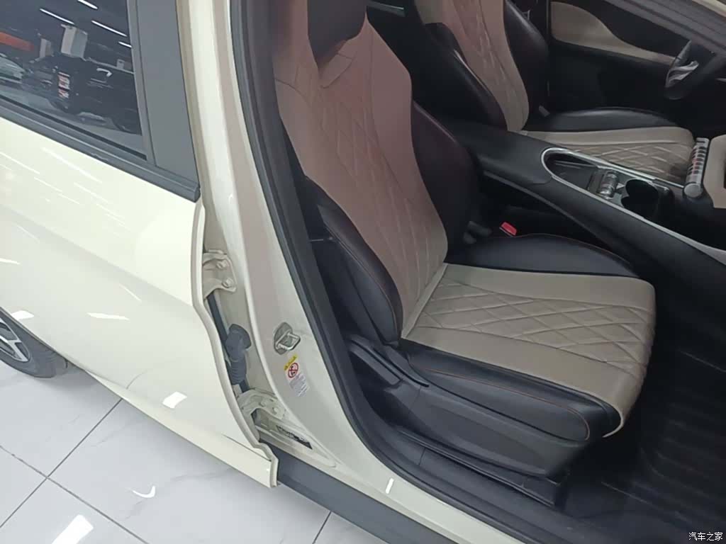 BYD Dolphin, 2023 25