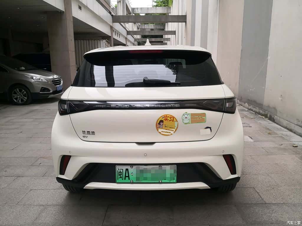 BYD Dolphin, 2025 11