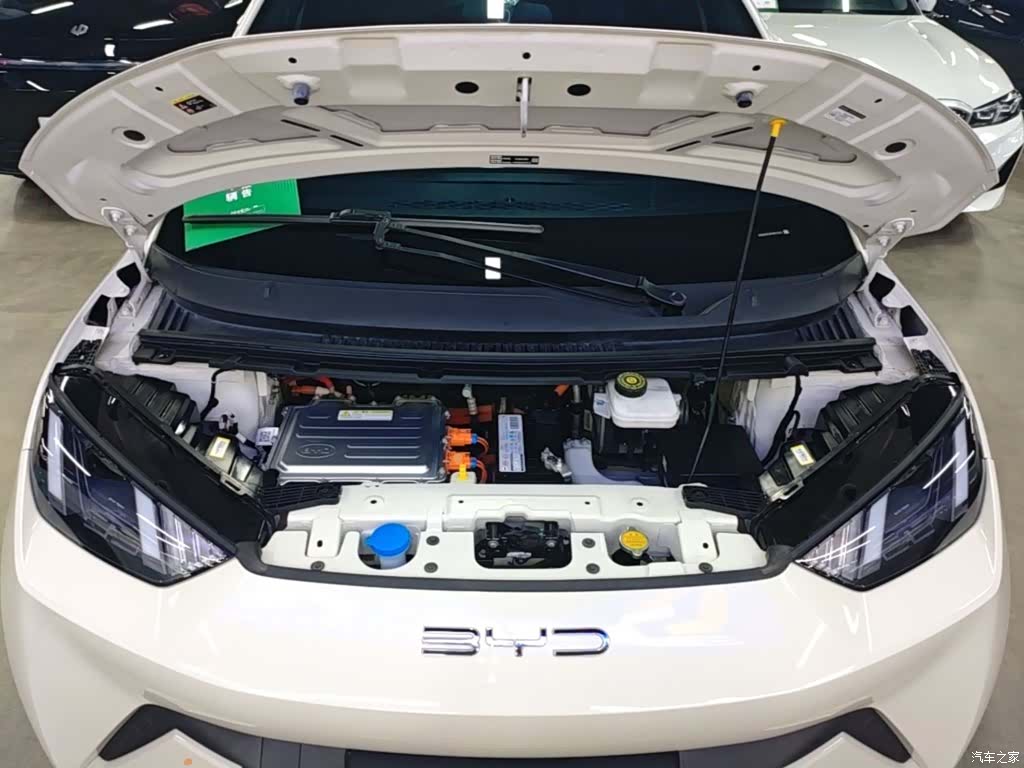BYD Seagull, 2024 20