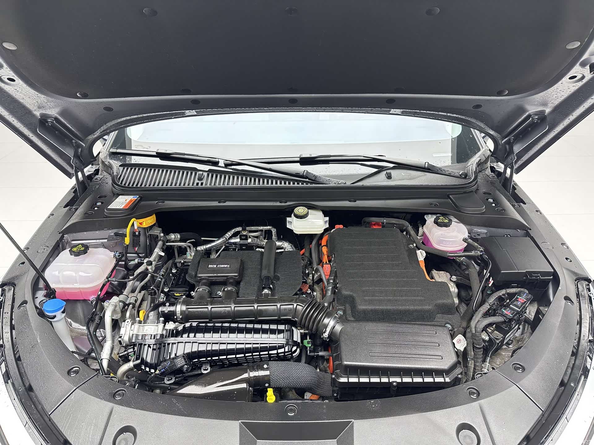 BYD Qin, 2024 17