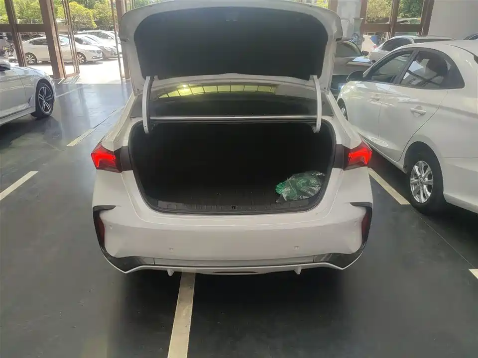 Buick Weilang
