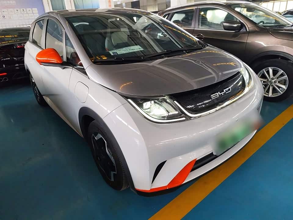BYD dolphin