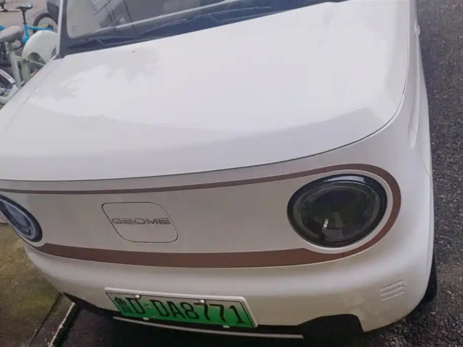 Geely Galaxy panda