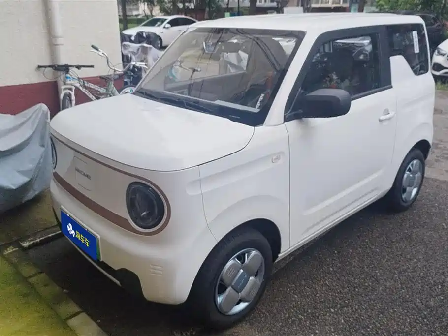 Geely Galaxy panda