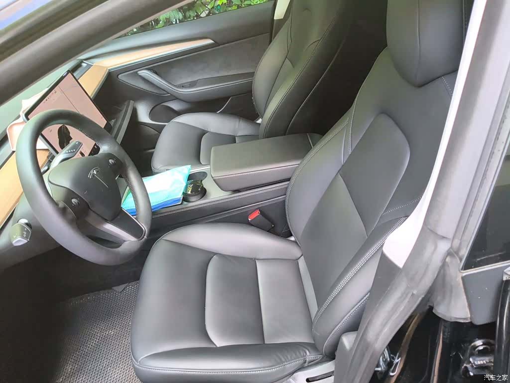 Tesla Model 3, 2021 8