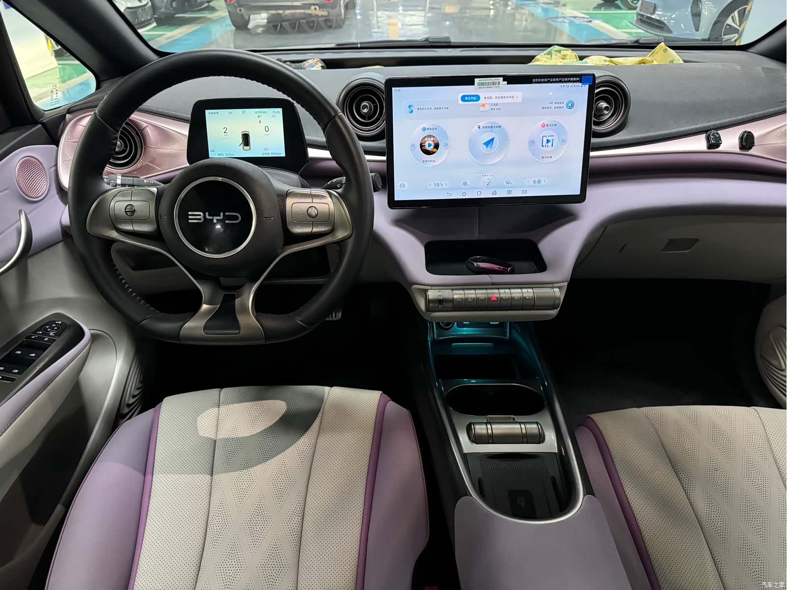 BYD Dolphin, 2024 8