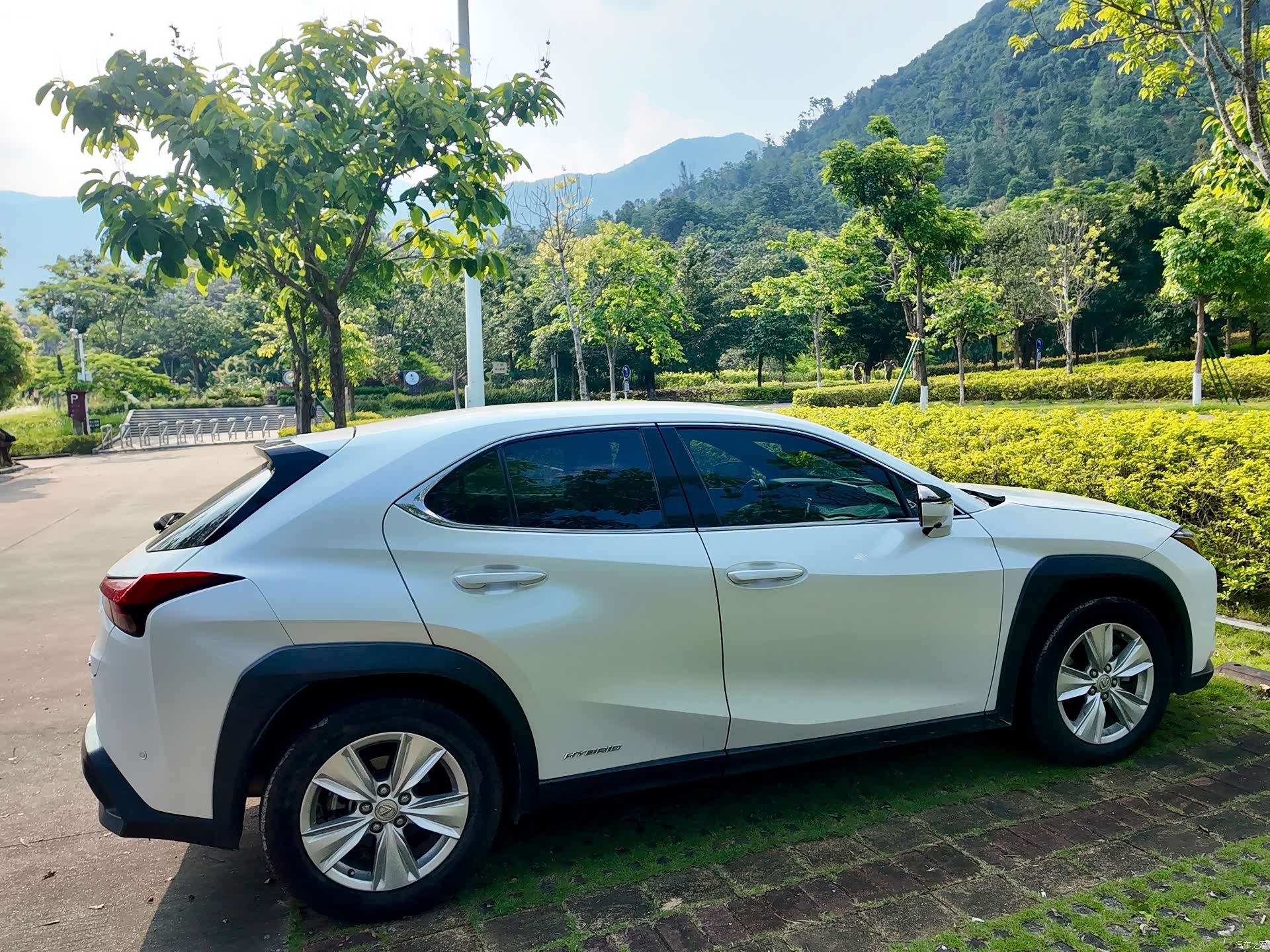 Lexus UX, 2019 13