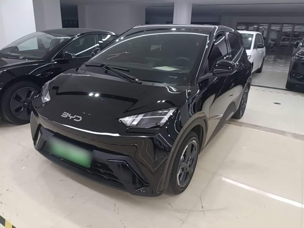 BYD Seagull