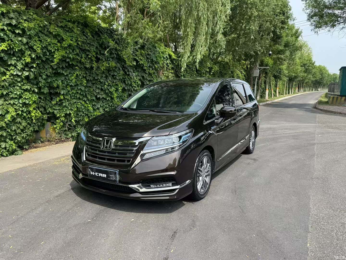 Honda Elysion, 2020 1