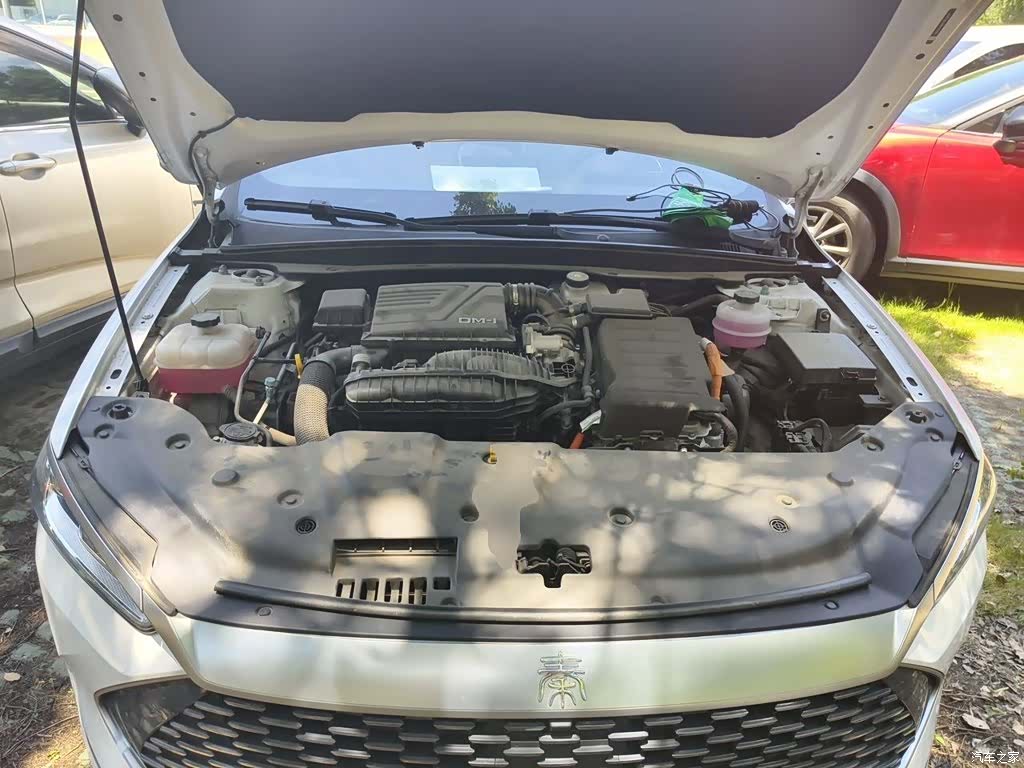 BYD Qin, 2024 16
