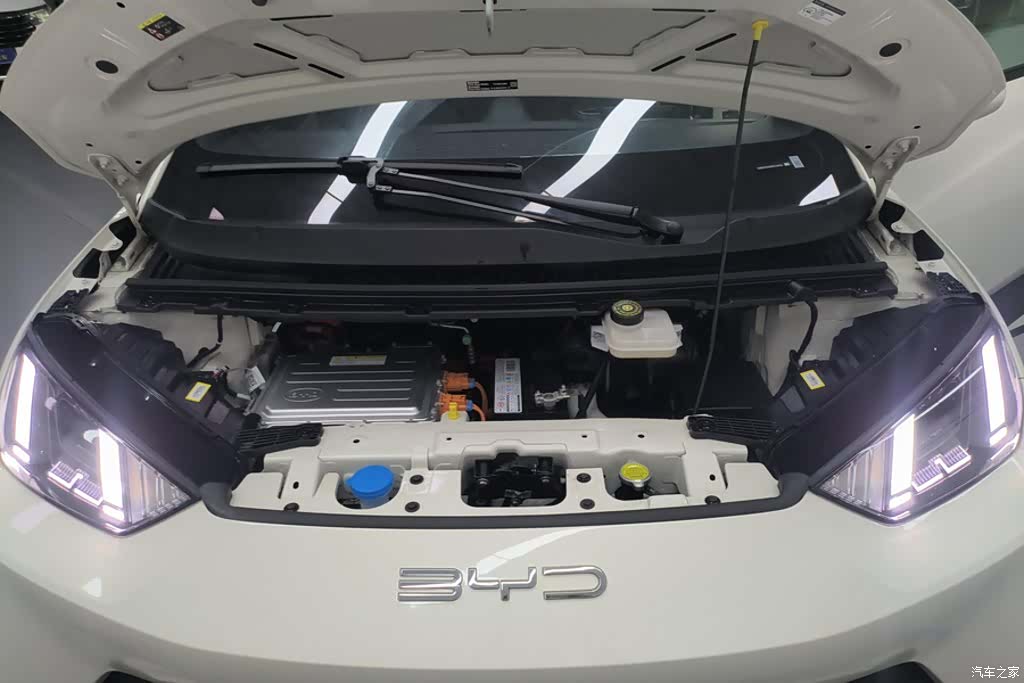 BYD Seagull, 2024 10