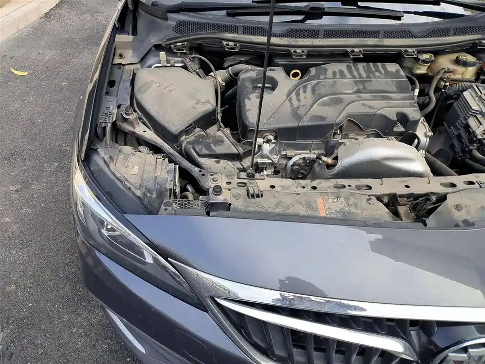 Buick Weilang