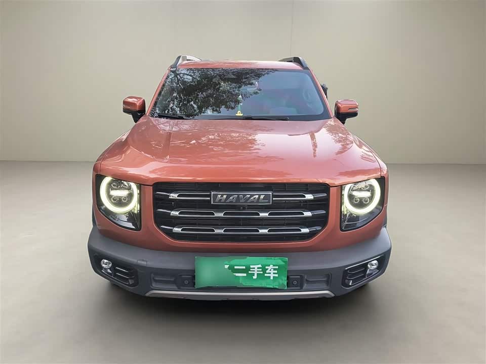 Haval Big dog