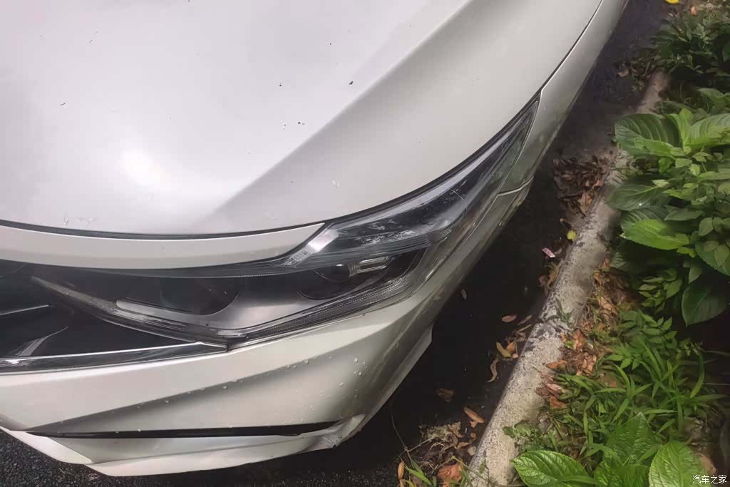 Honda V, 2019 все фото