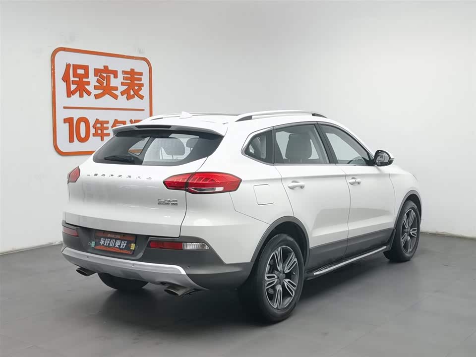 Leopaard Cheetah CS10