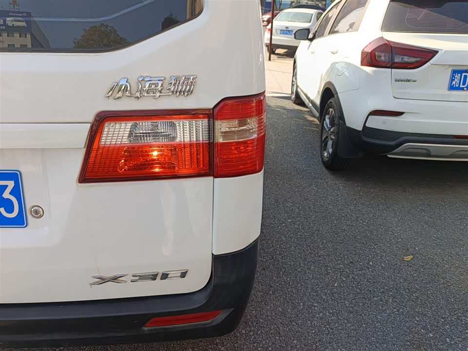 Jinbei Little Sea Lion X30