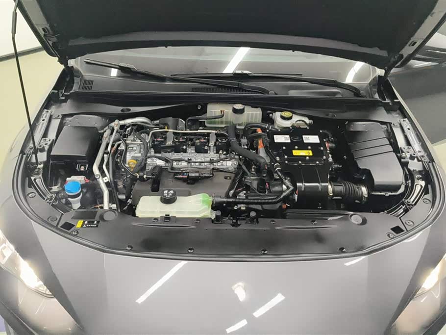 Trumpchi Shadow Leopard