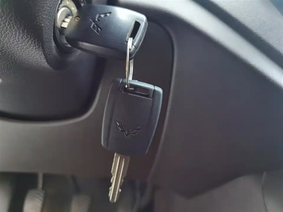 Wuling Wuling Hongguang V