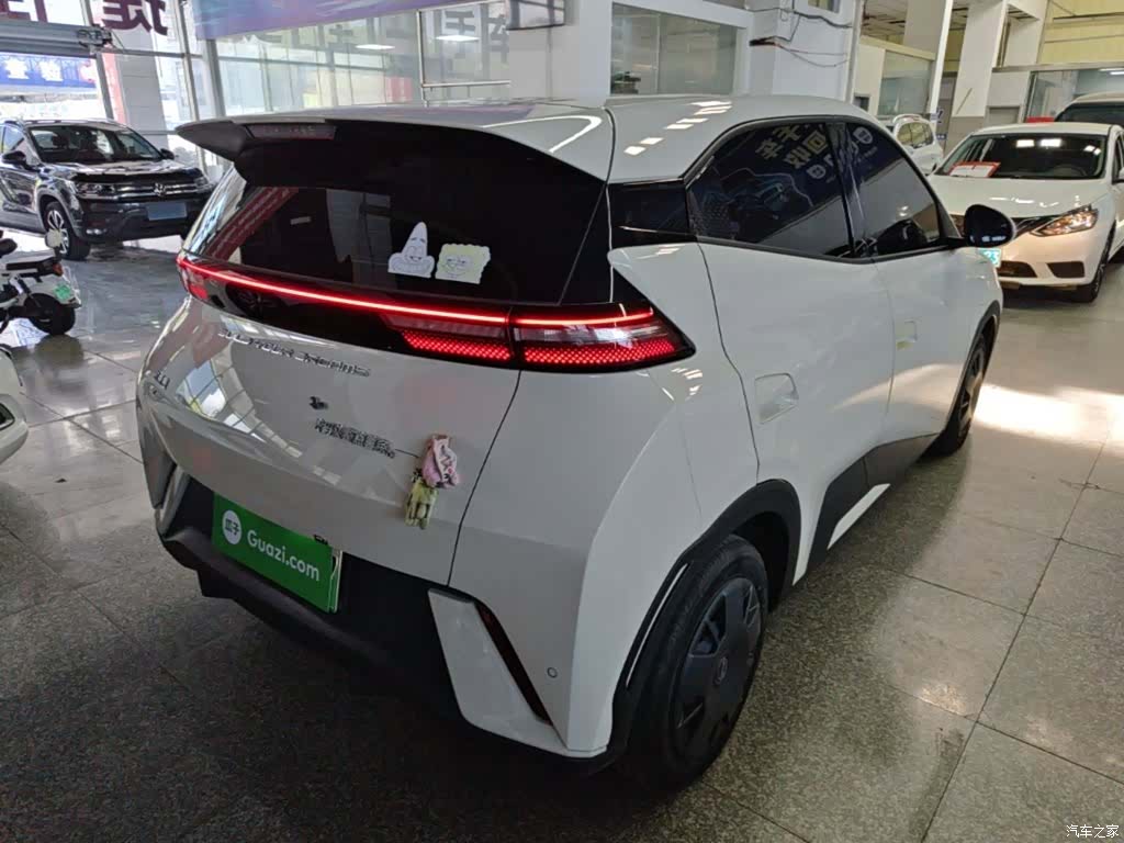 BYD Seagull, 2024 7