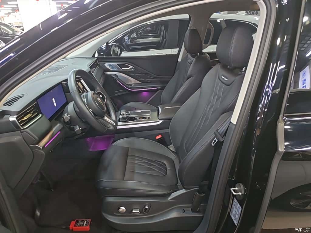 Hongqi HS7, 2024 15