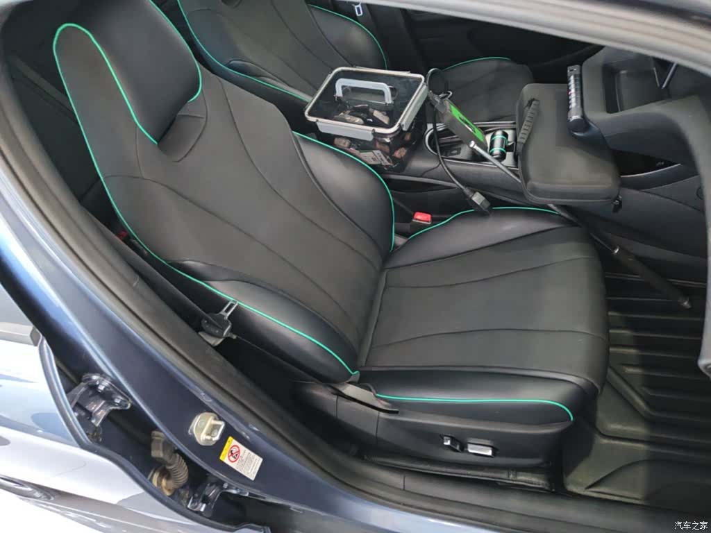 BYD Dolphin, 2024 25