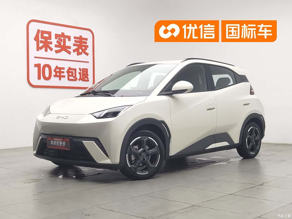 BYD Seagull, 2024 1