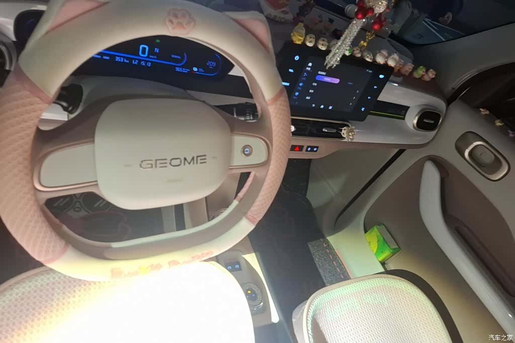 Geely Panda, 2025 12