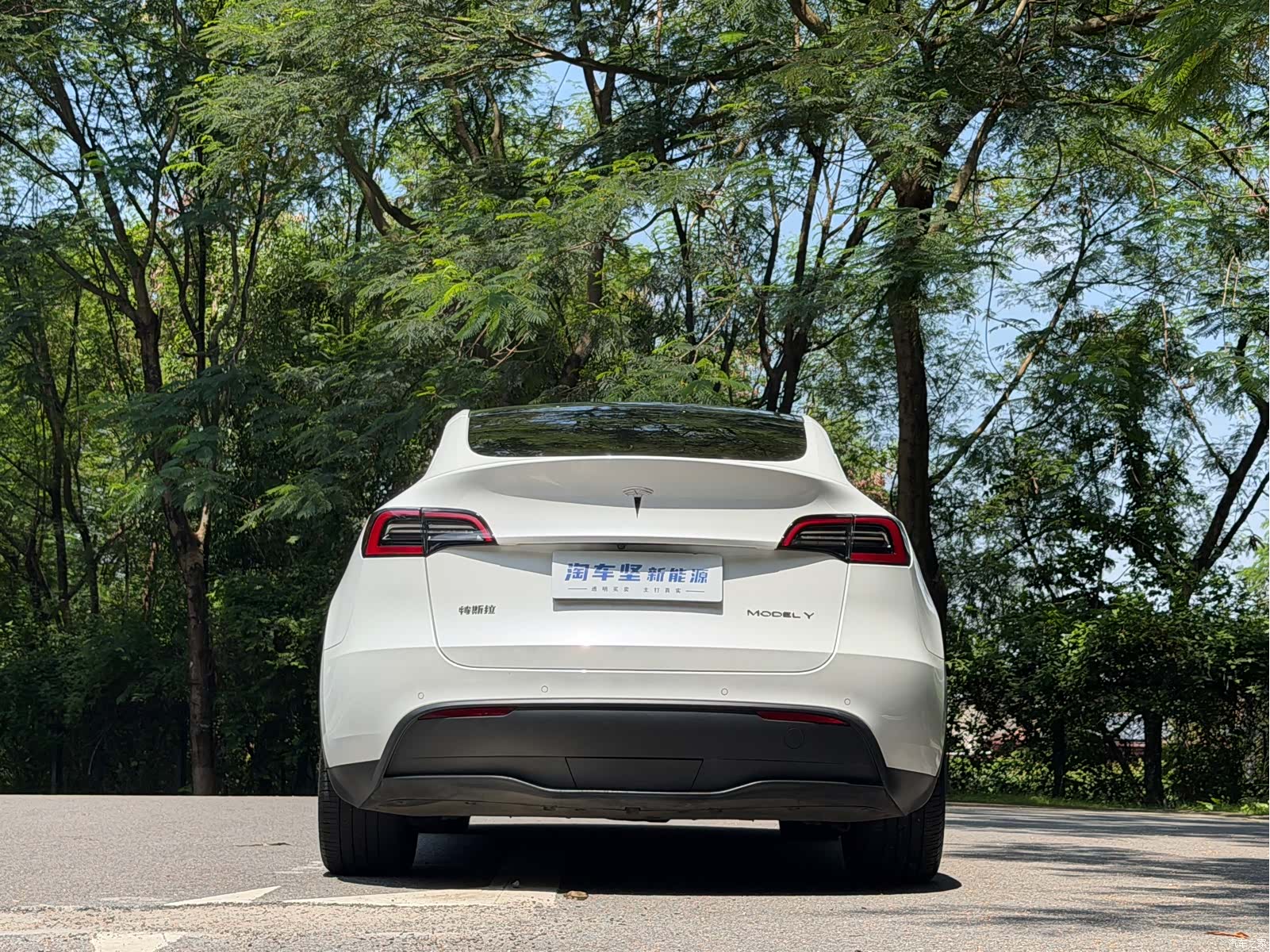 Tesla Model Y, 2022 все фото
