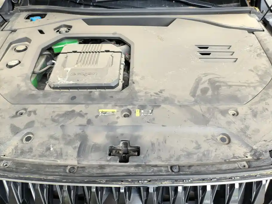 Trumpchi Trumpchi ES9