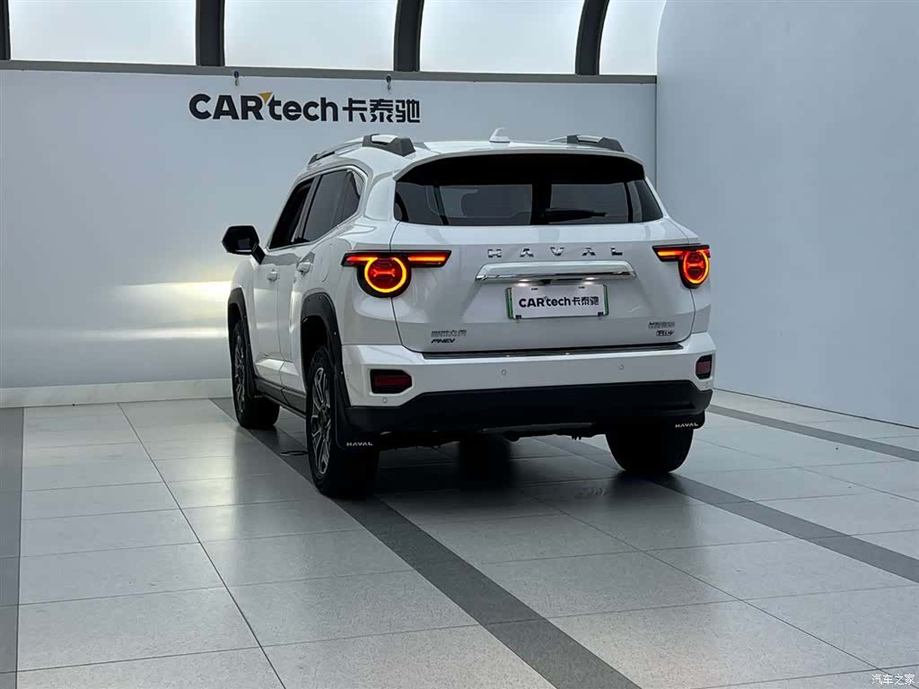 Haval Big Dog, 2024 8